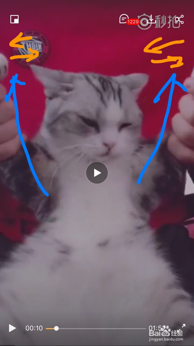 海草舞舞蹈教程分解动作