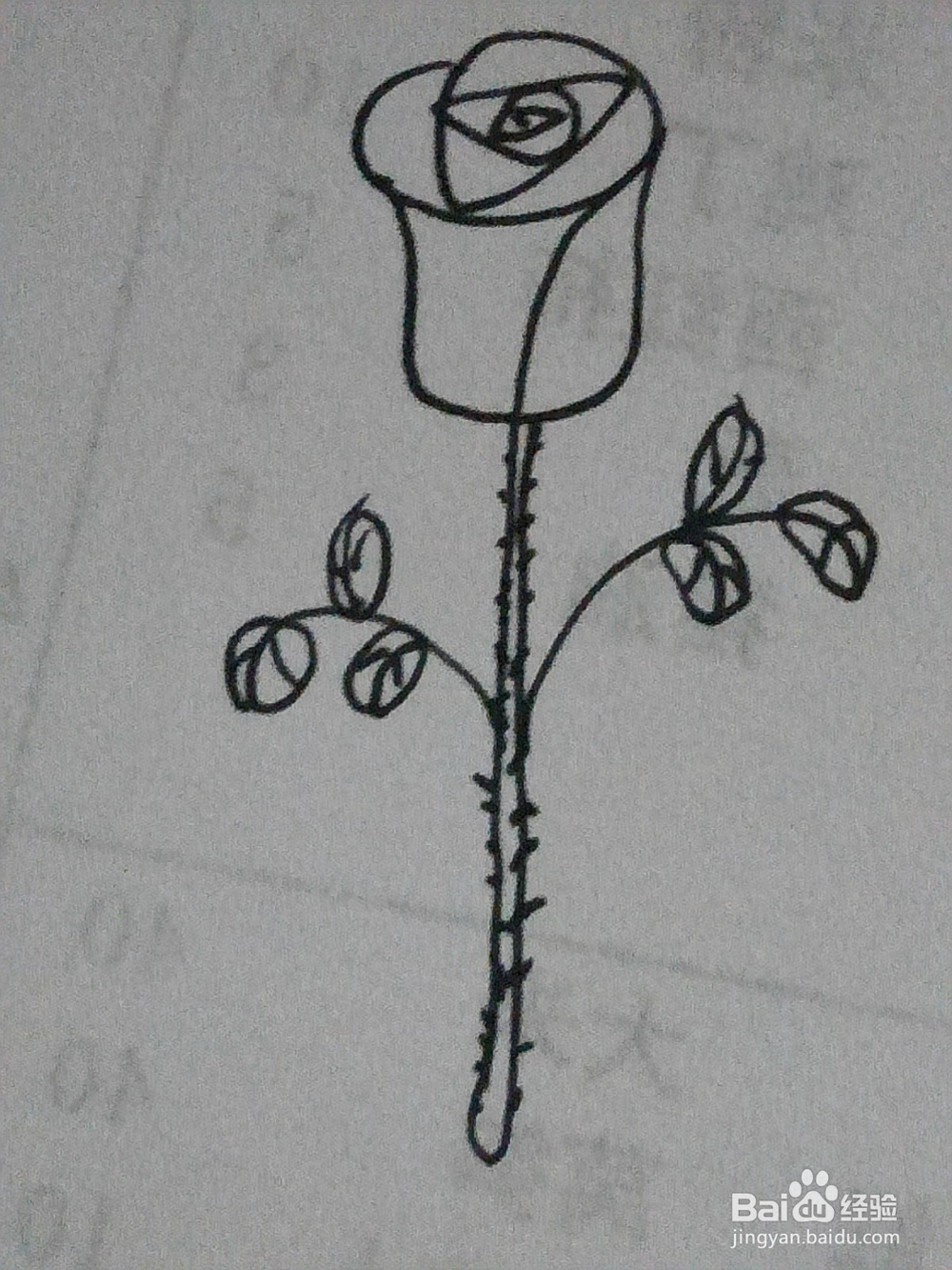 简笔画一枝玫瑰花的画法