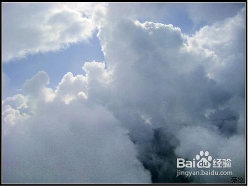 卧龙映秀旅游经验分享