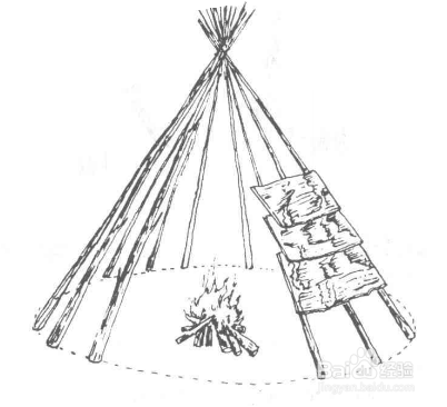 野外庇护所的搭建