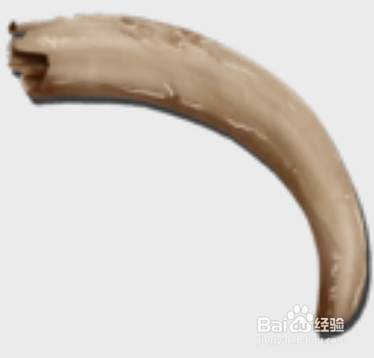方舟角质怎么快速获得 百度经验 方舟角质怎么快速获得 百度经验