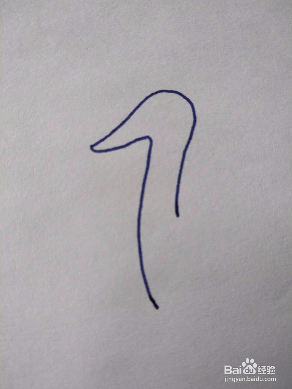 简笔画之浮水鹅