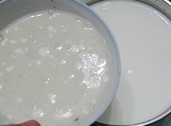 原味酸奶自己做