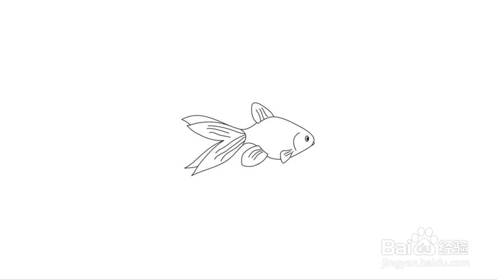 简笔画金鱼画法