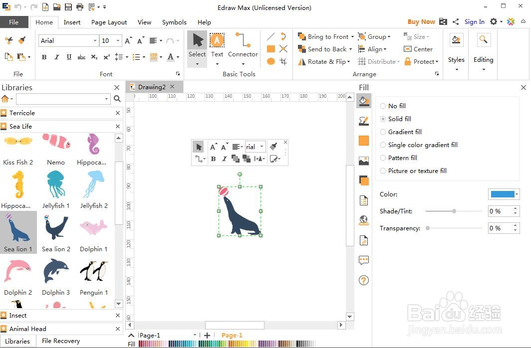 怎样在Edraw Max中创建海狮图
