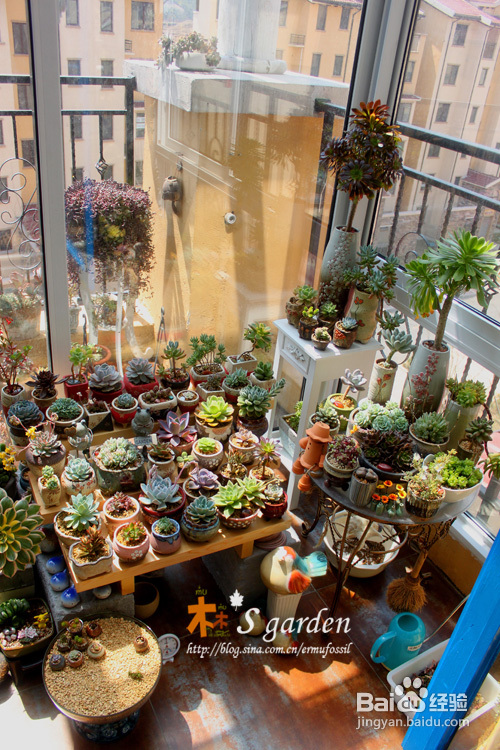 改造露台玻璃房记录