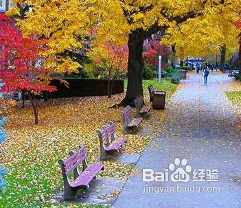 表白有什么技巧