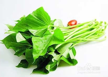 红薯叶 居然有这么强大