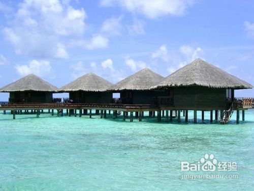 马尔代夫宁静岛W岛旅游住宿全攻略
