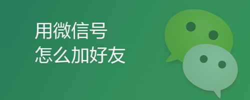 用微信号怎么加好友