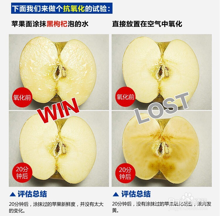 如何辨别黑枸杞是野生还是种植？