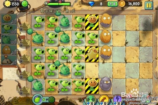 植物大战僵尸2神秘埃及种子保卫战第一天攻略