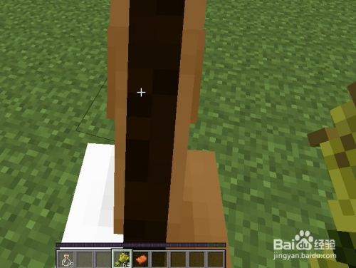 我的世界电脑和手机版分别怎么骑马 百度经验