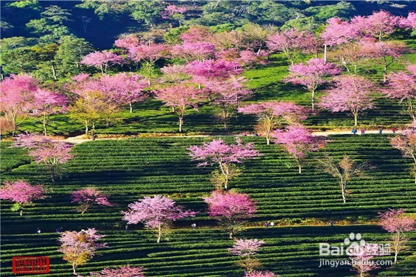 中国最佳旅行时间表攻略—你的下半年都被包了