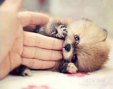 产后疤痕巧修复。