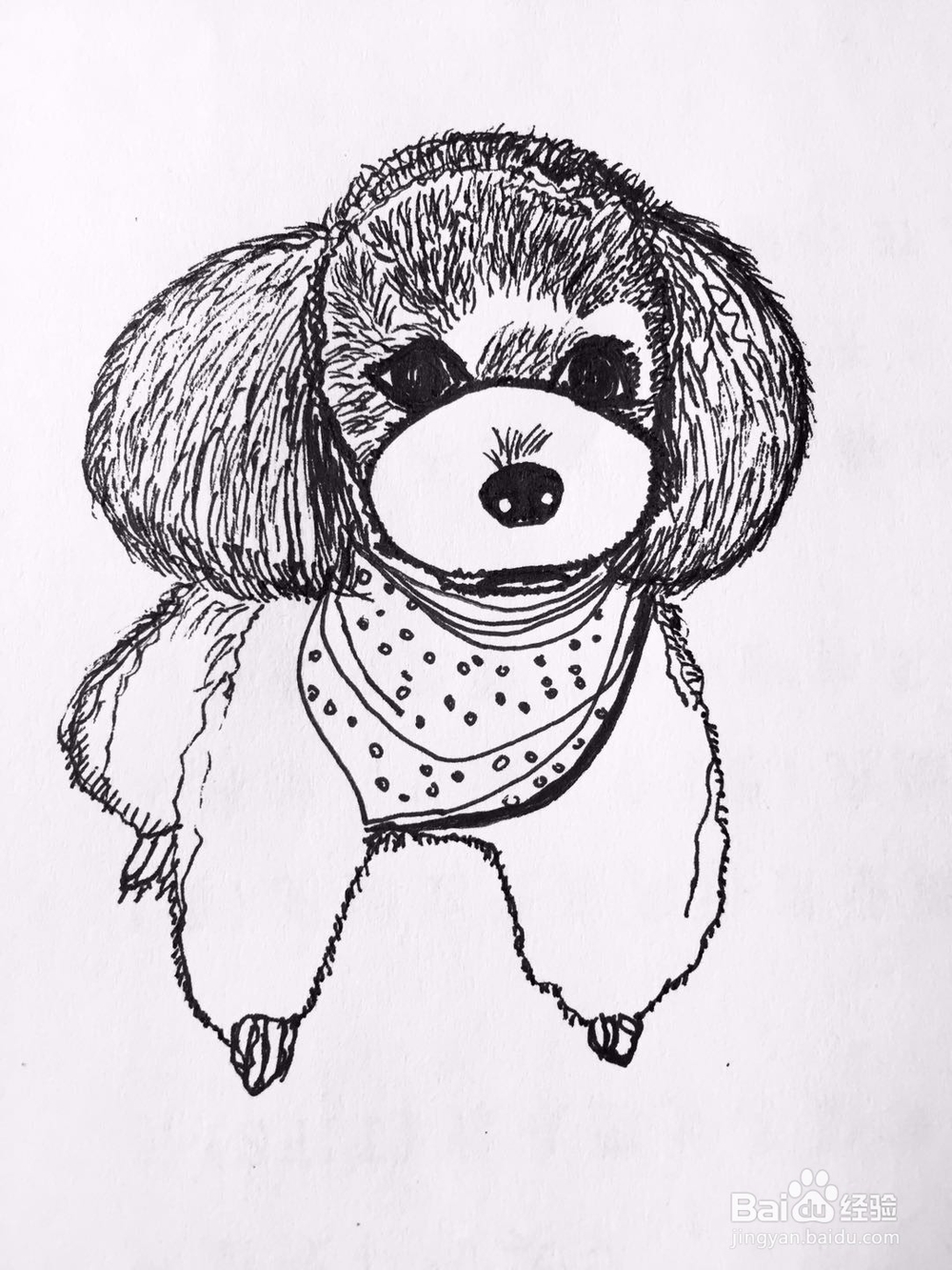 茉莉手绘之萌宠泰迪