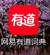 网易有道词典怎么快速打开人工翻译