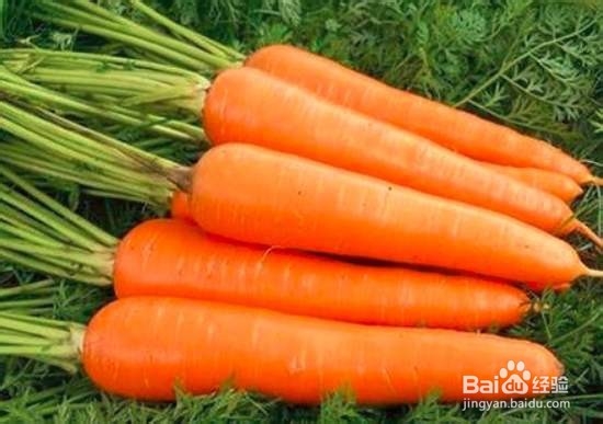 哪些食物可以帮助孩子长高