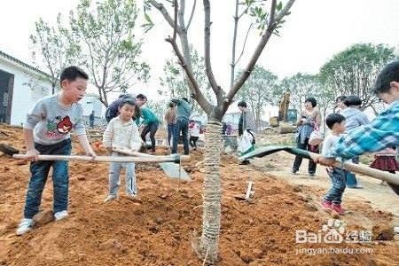 春季到了，可以多带孩子去哪里玩耍？