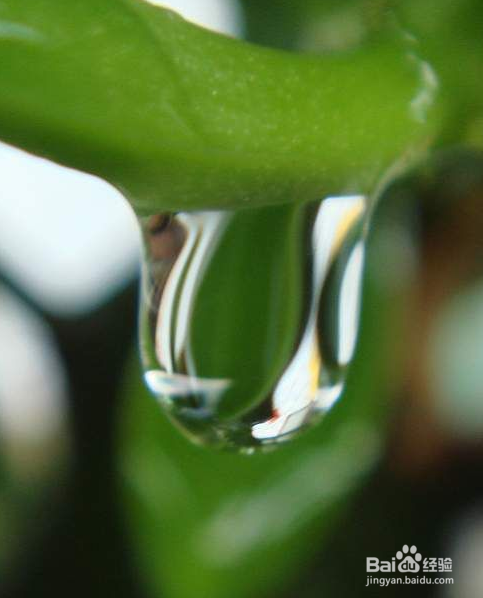 浅谈语文教学目标与方法