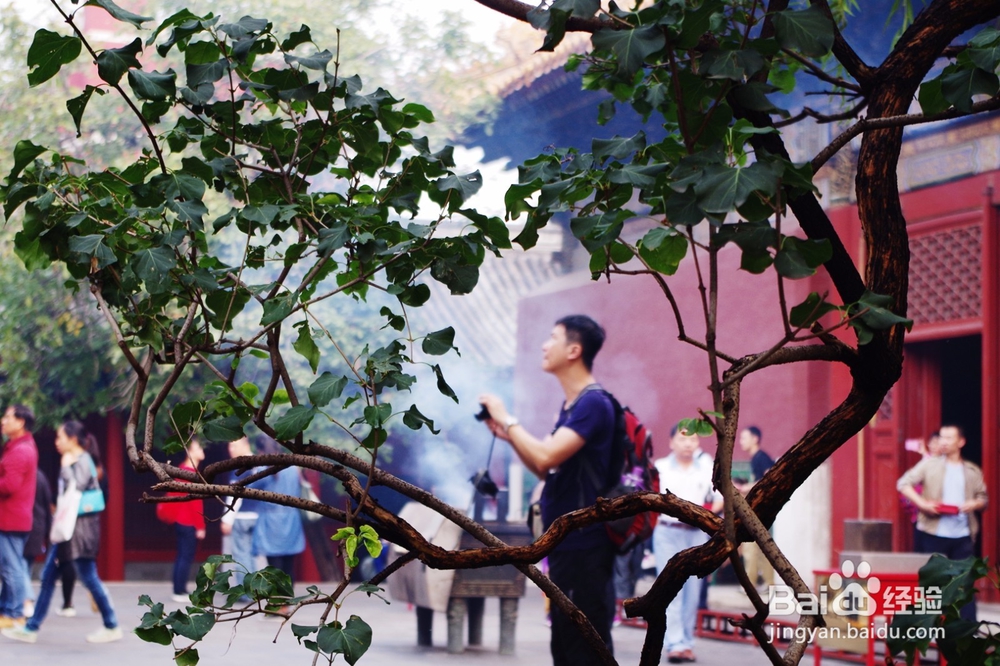 雍和宫旅游攻略