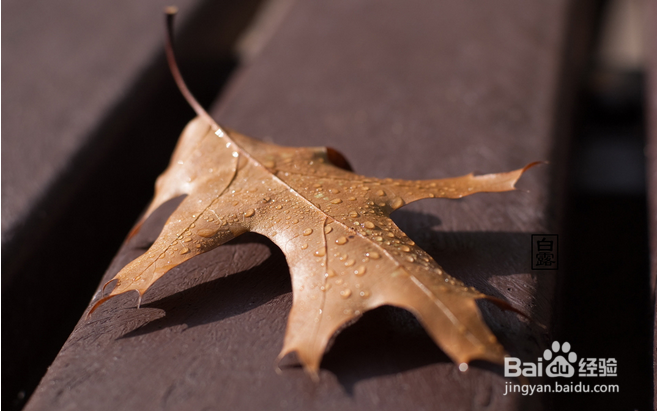 白露时节养生推荐