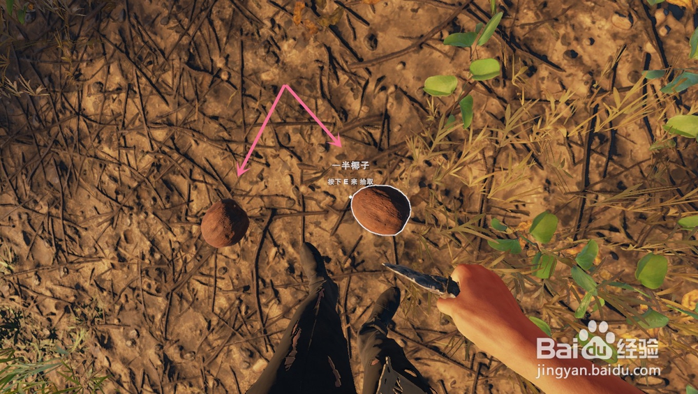 深海搁浅里的椰子有什么吃法？