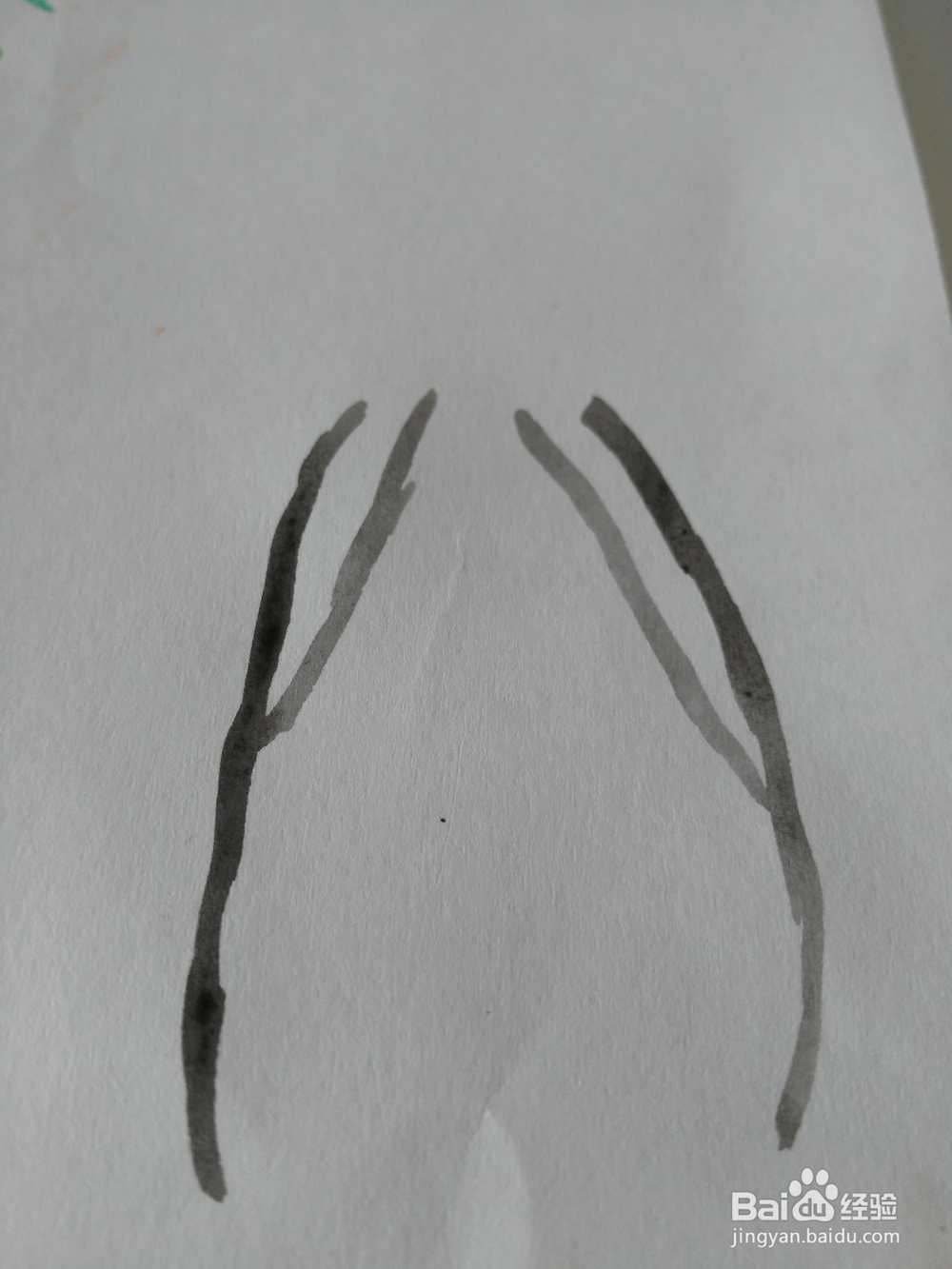 水粉画黑鼬 详细绘画步骤教程!