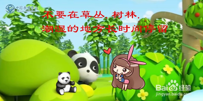 领孩子外出活动怎么注意安全