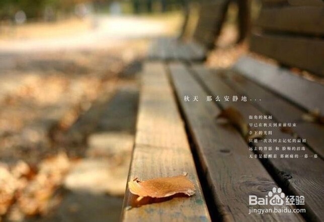 迷茫的时候怎么办