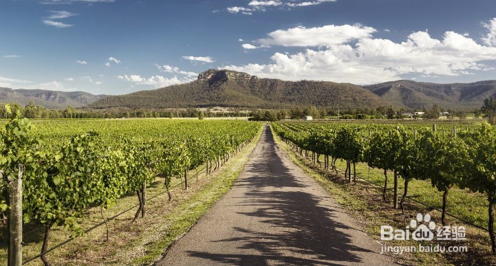 澳大利亚房车自驾游参考攻略