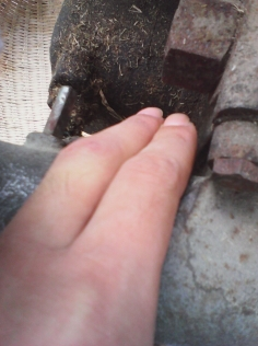 怎样启动拖拉机