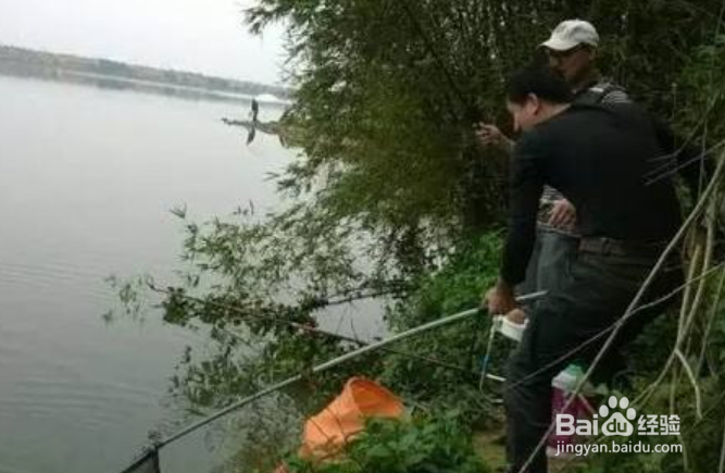 秋季为何钓不到鱼为什么别人能钓到自己钓不到