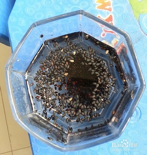 黑芝麻真假鉴别