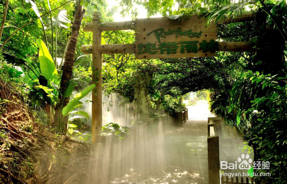 青青世界有什么好玩的