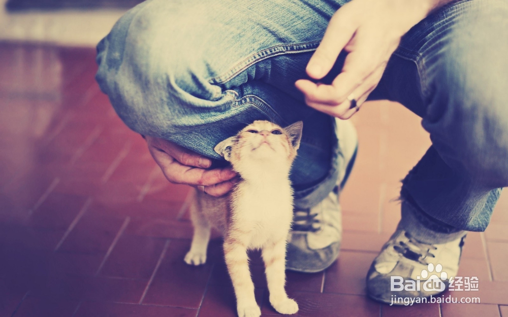 绝不能碰的4大爱情底线