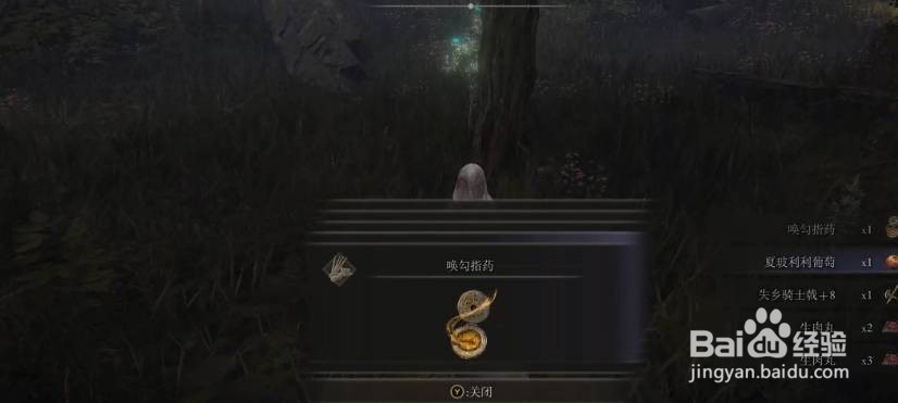 《艾尔登法环》通关后能做伊蕾娜的信支线任务吗