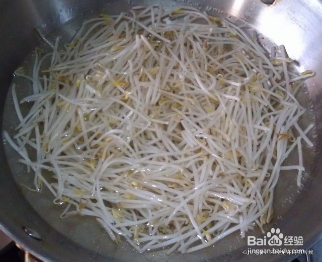 美味营养的减肥菜－－素拌银芽