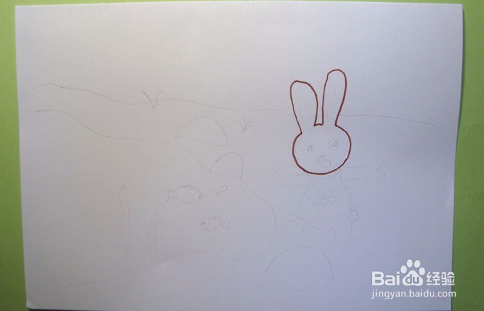 彩色简笔画小兔子看鱼儿游