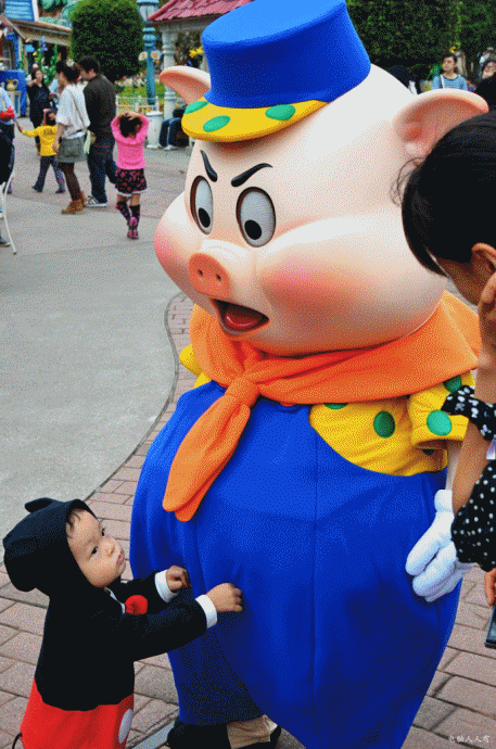 日本见闻：[7]可爱卡通赛明星