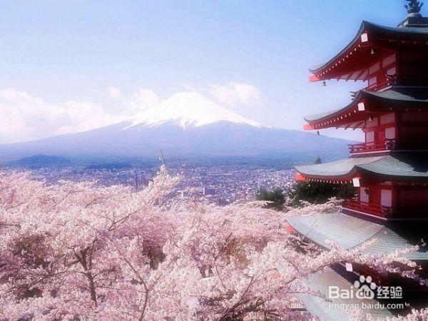 去日本买什么护肤品好?来一次日本享受之旅