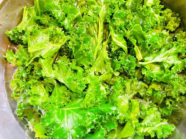 减脂四季宝羽衣甘蓝