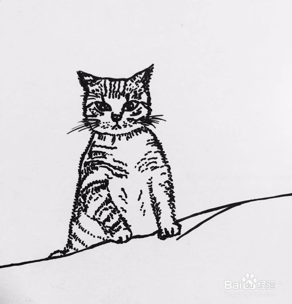 茉莉手绘之喵星人