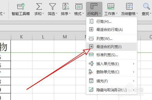 wps2019表格在哪设置自动调整列宽
