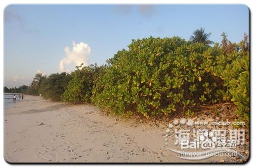 与您一起分享马尔代夫旅游记录马代的天与海