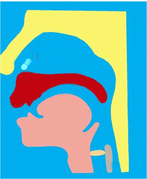 n和l的发音的窍门