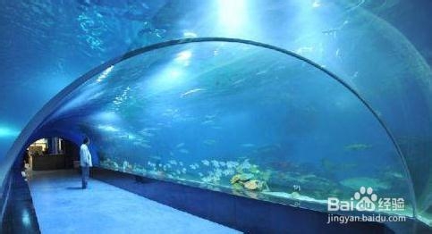 天津极地海洋馆旅游攻略（豪华版）