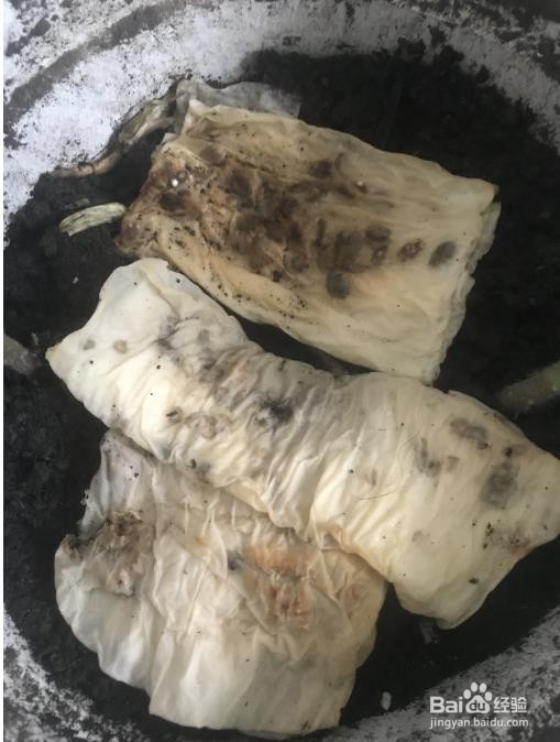 怎么才能在室内种植好西红柿