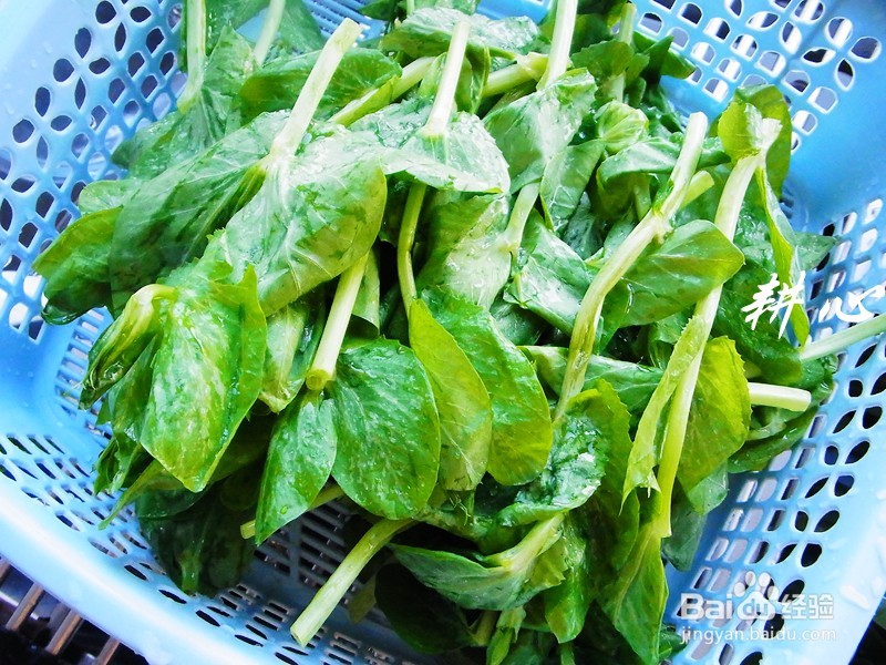 豌豆尖肉片汤的做法步骤