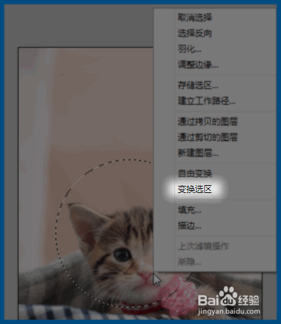 利用Photoshop简单抠图制作自己专属漂亮头像